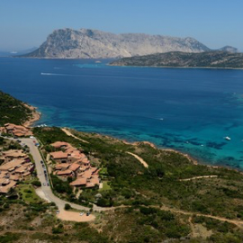 CAPO CODA CAVALLO.